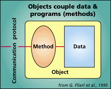 Data + Program