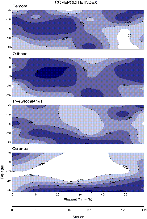 Copepodite Contours<